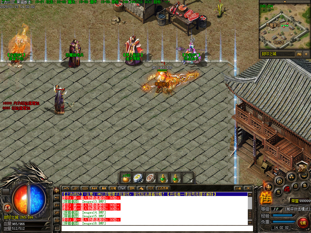 Images17.BMP