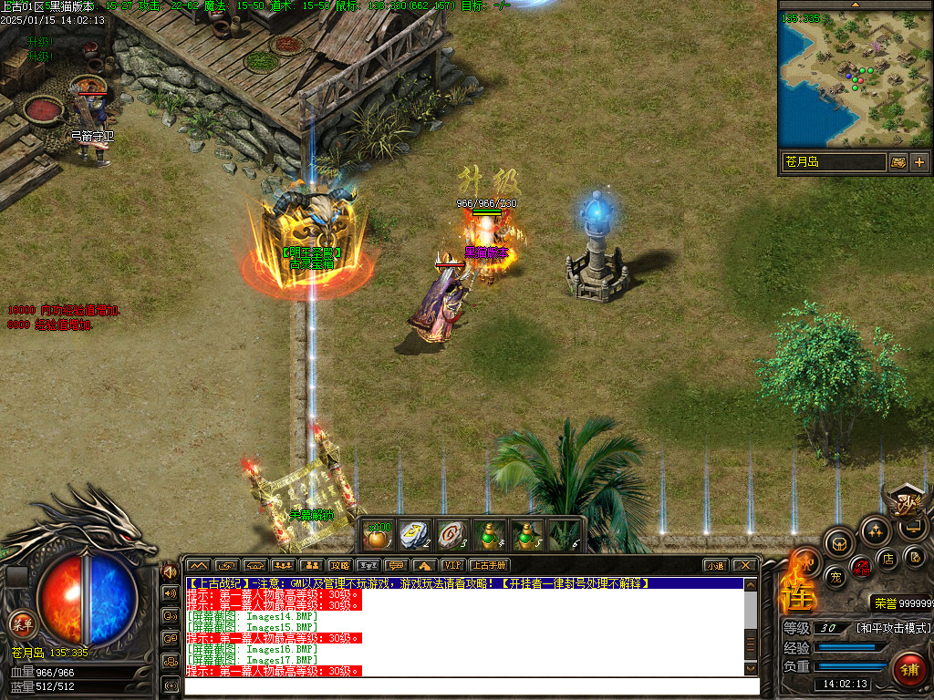 Images18.BMP