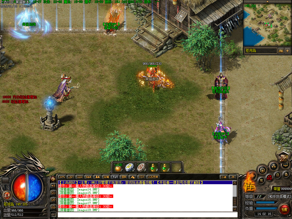 Images19.BMP