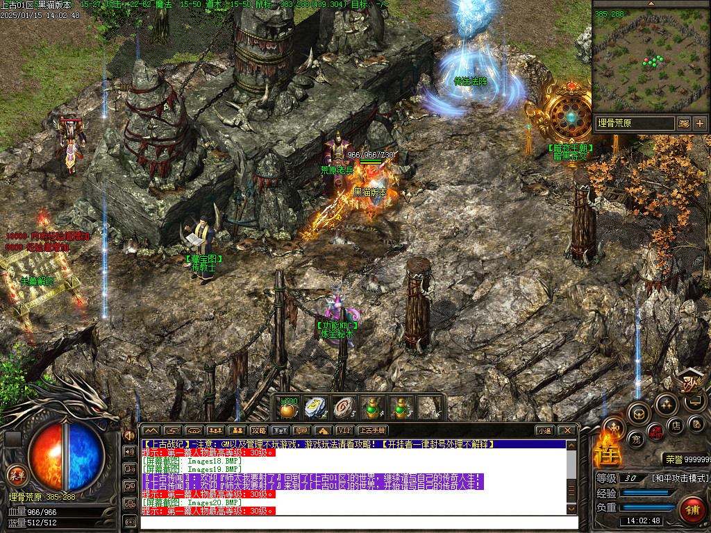 Images21.BMP