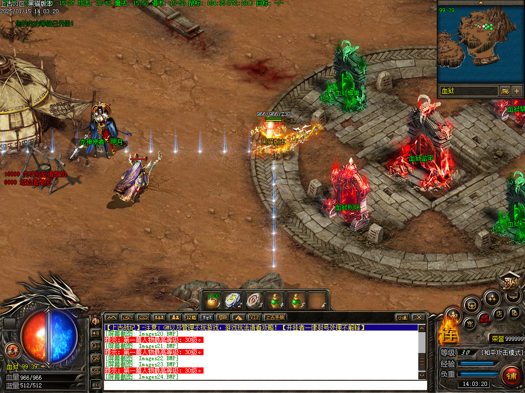 Images25.BMP