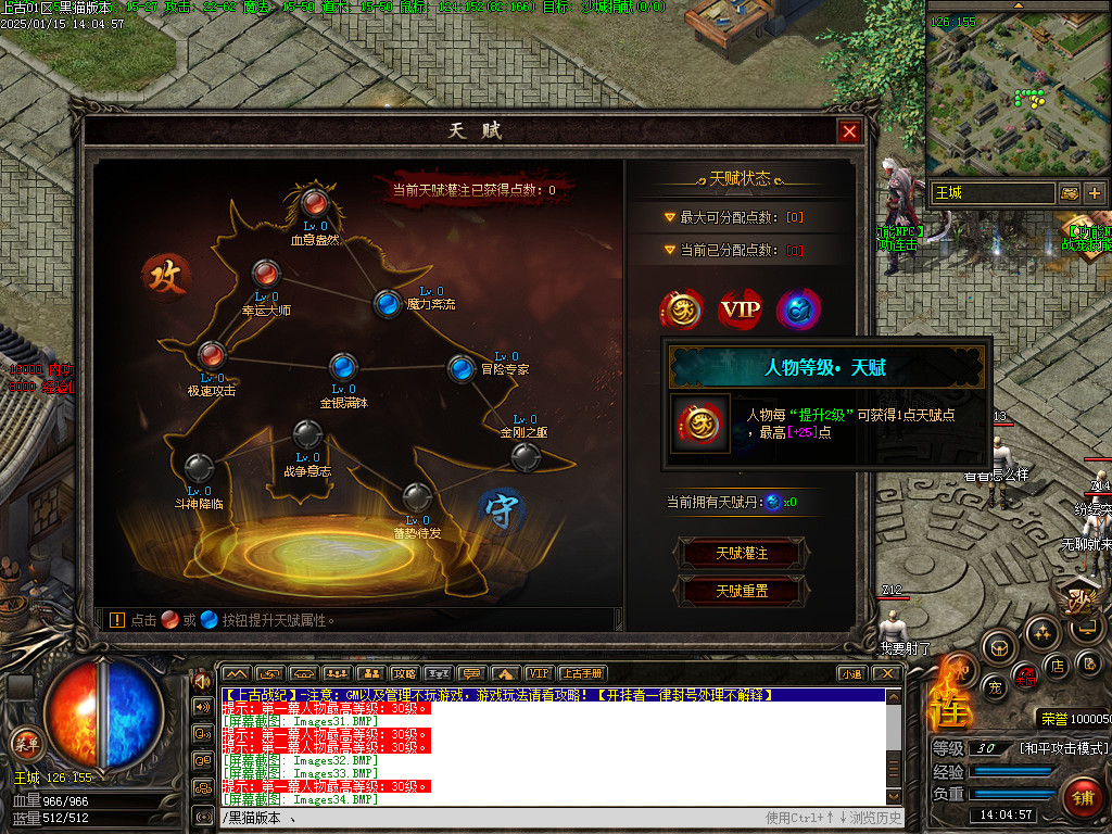 Images35.BMP