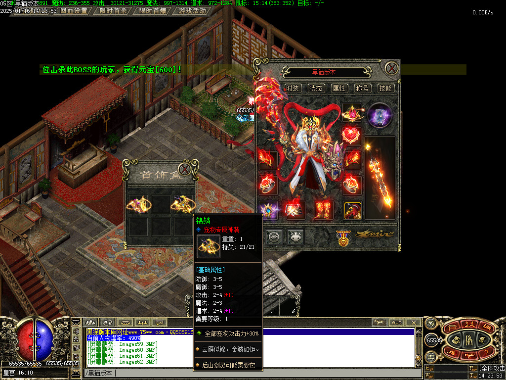 Images63.BMP