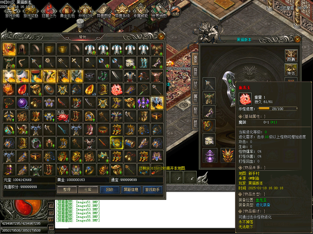 Images57.BMP