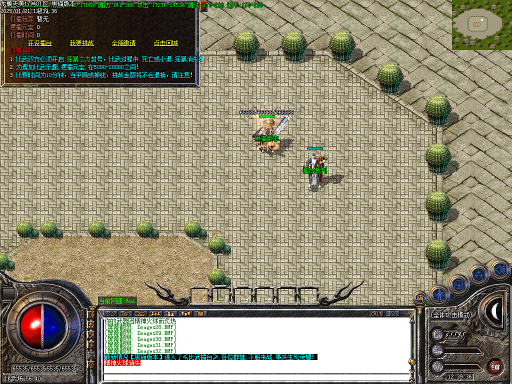 Images33.BMP