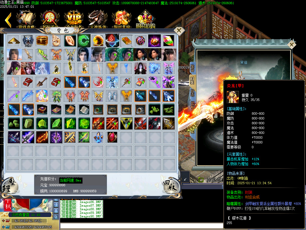 Images91.BMP