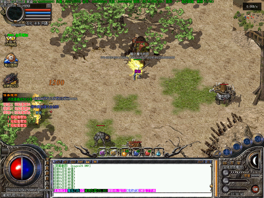 Images29.BMP
