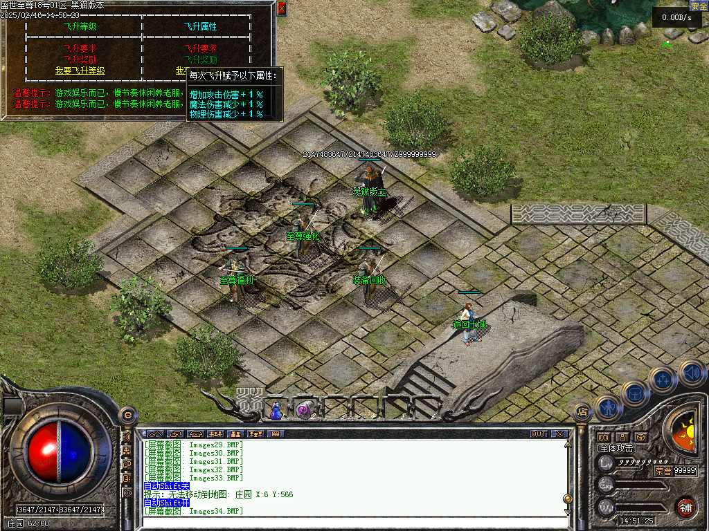 Images35.BMP