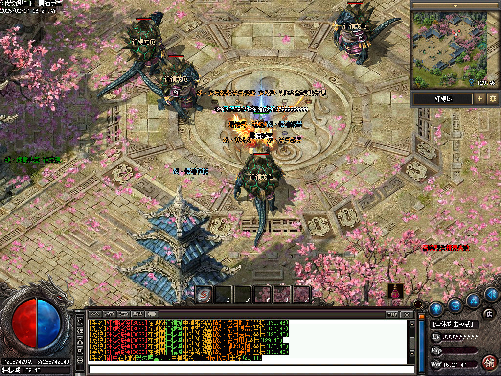 Images43.BMP