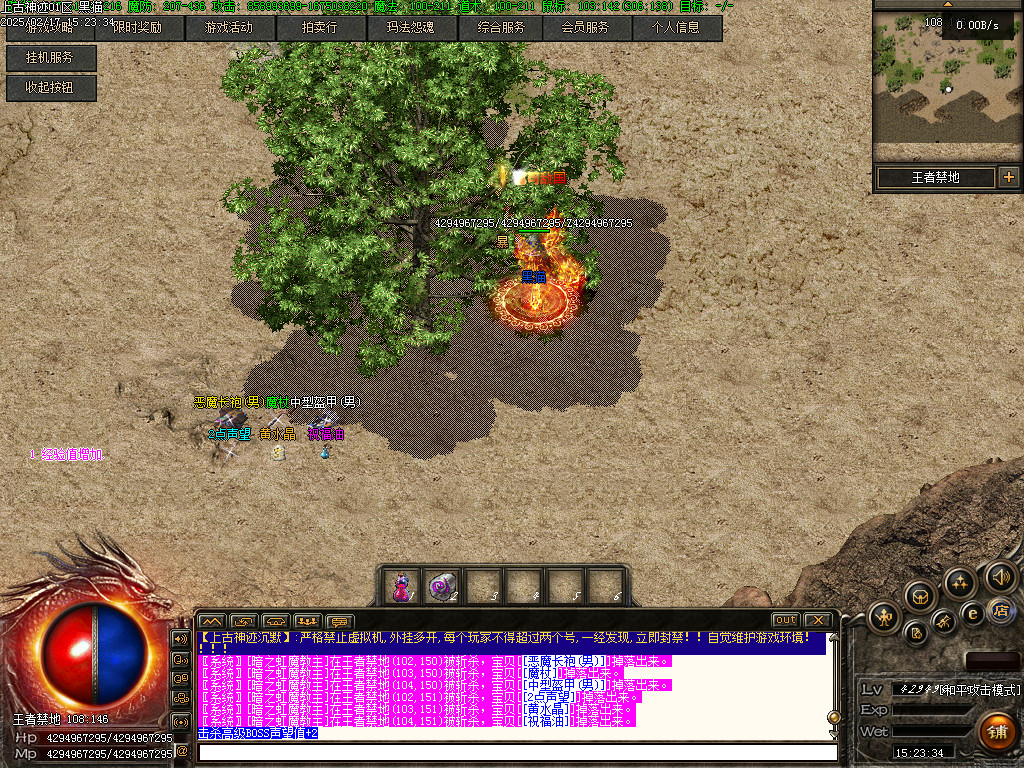 Images66.BMP