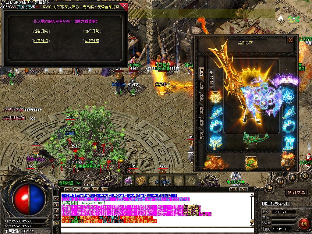 Images23.BMP