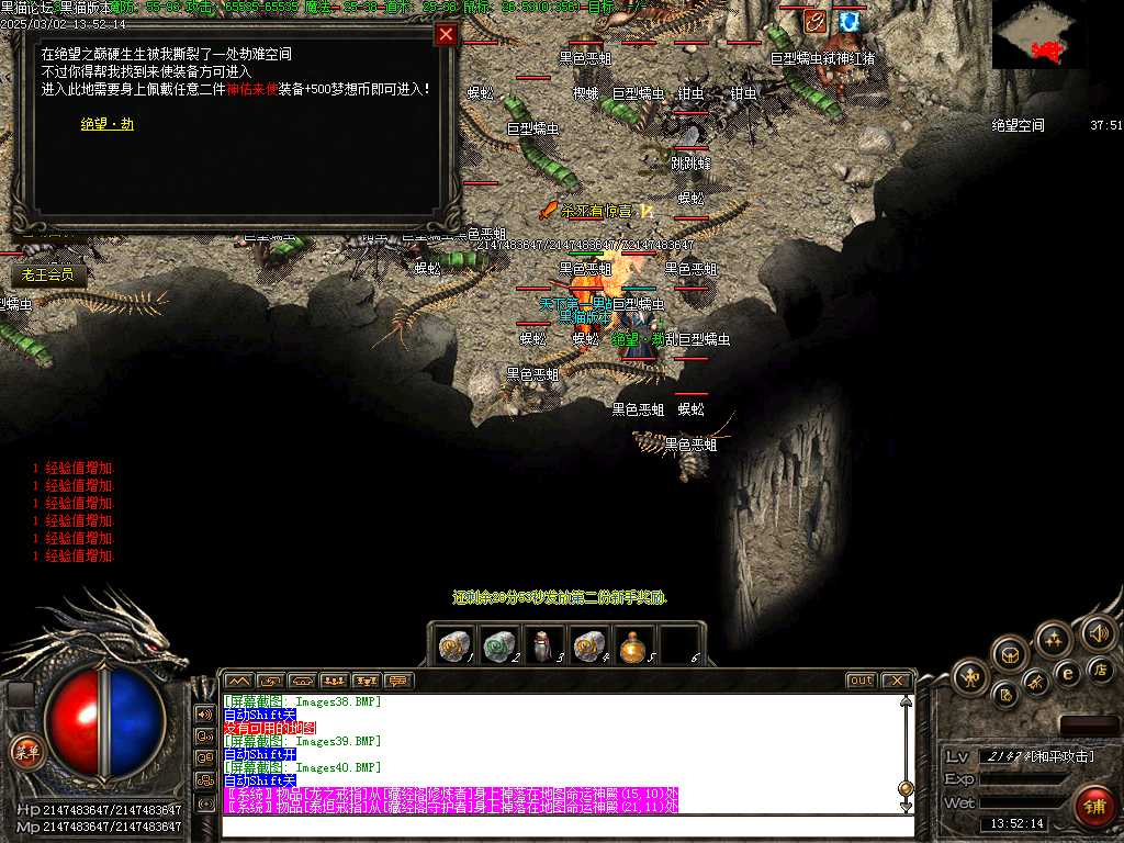 Images41.BMP