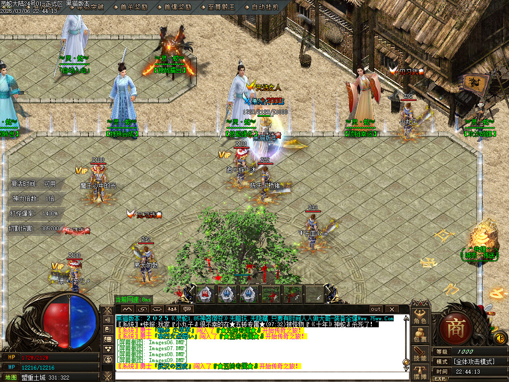 Images10.BMP