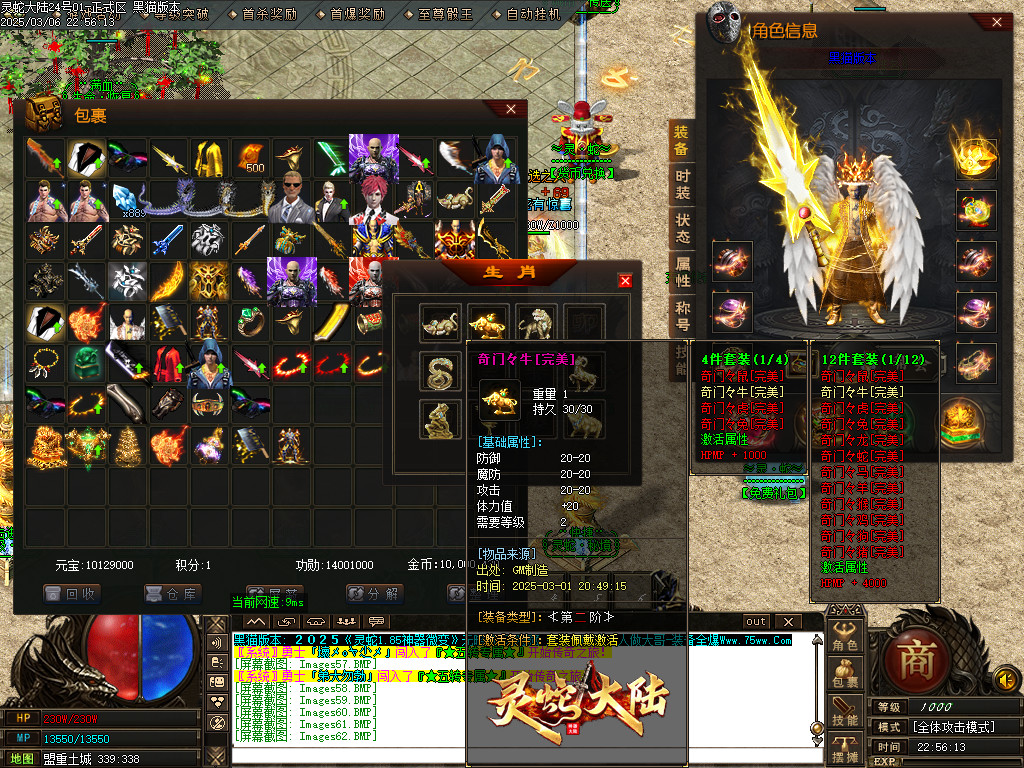 Images63.BMP