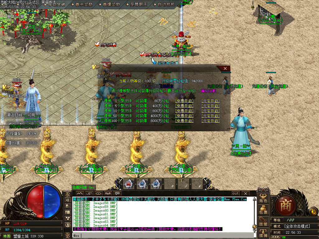 Images65.BMP