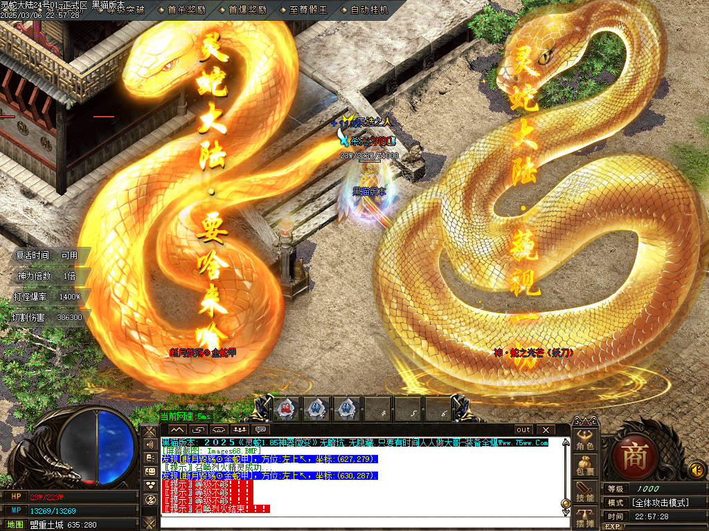Images69.BMP