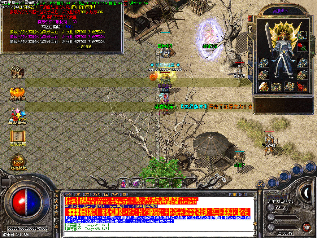 Images29.BMP