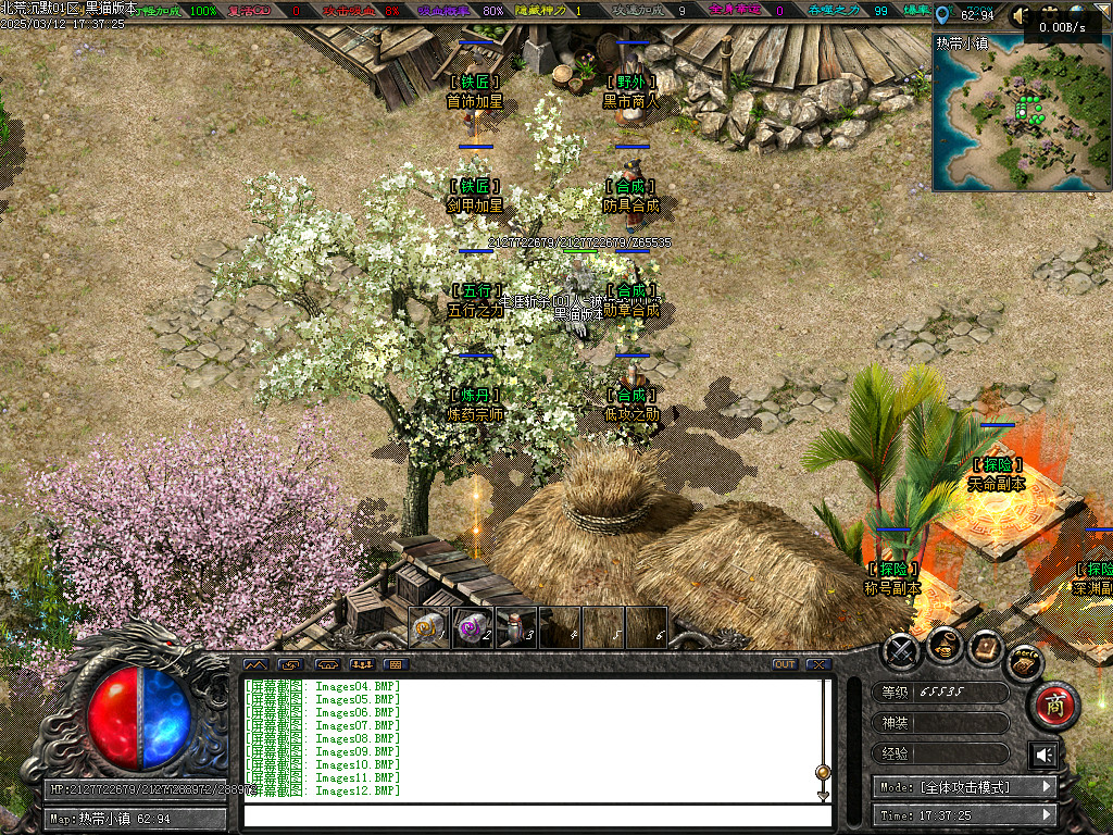 Images13.BMP