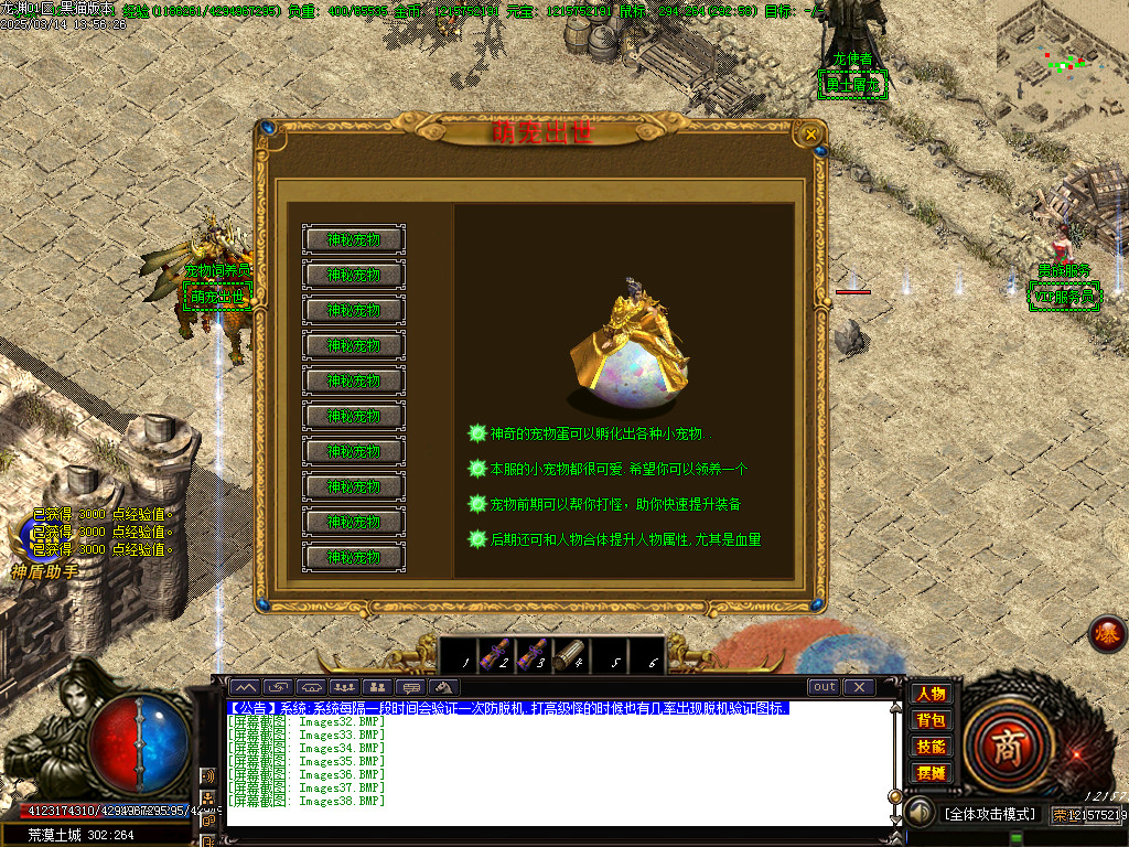 Images38.BMP