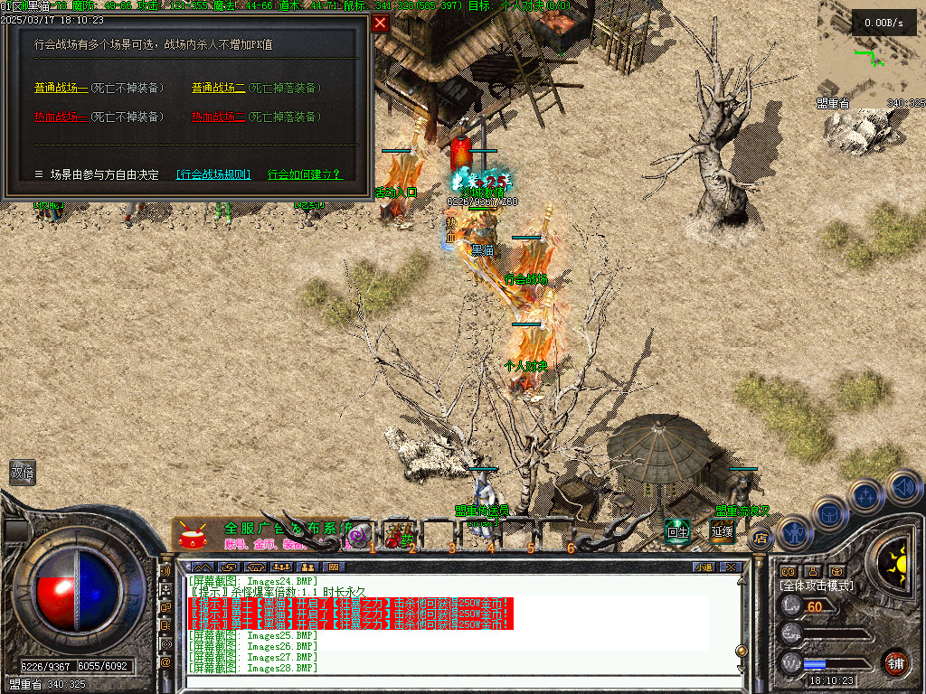Images29.BMP