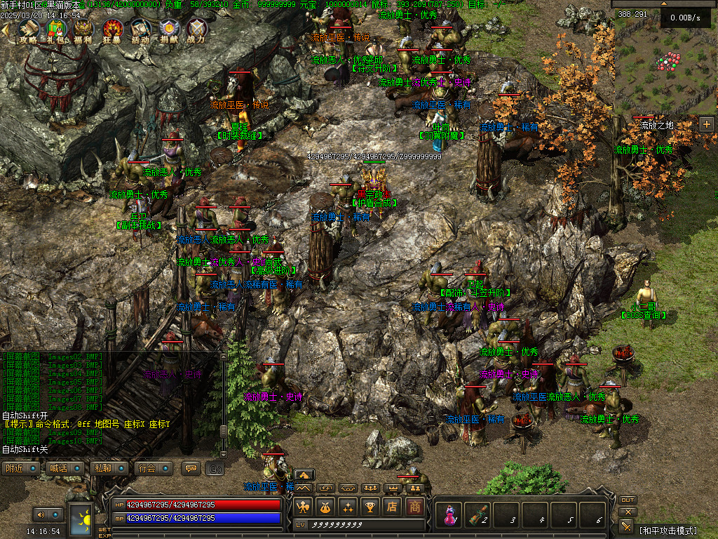 Images11.BMP