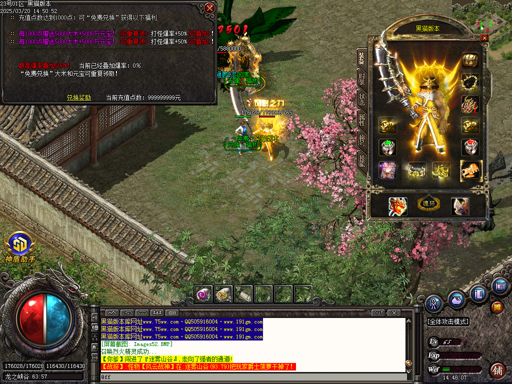 Images53.BMP