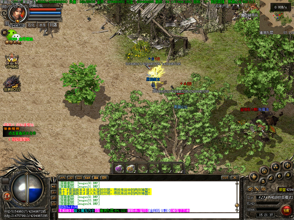 Images35.BMP