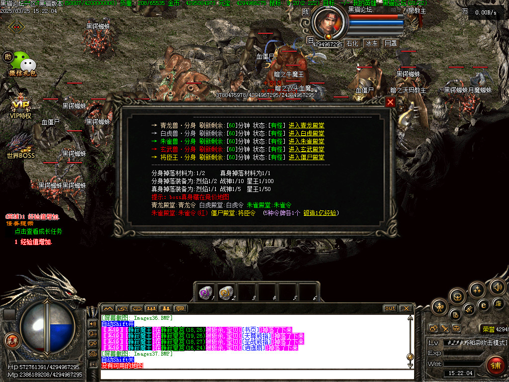Images38.BMP