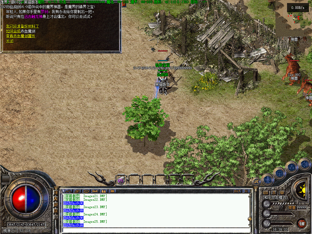 Images26.BMP