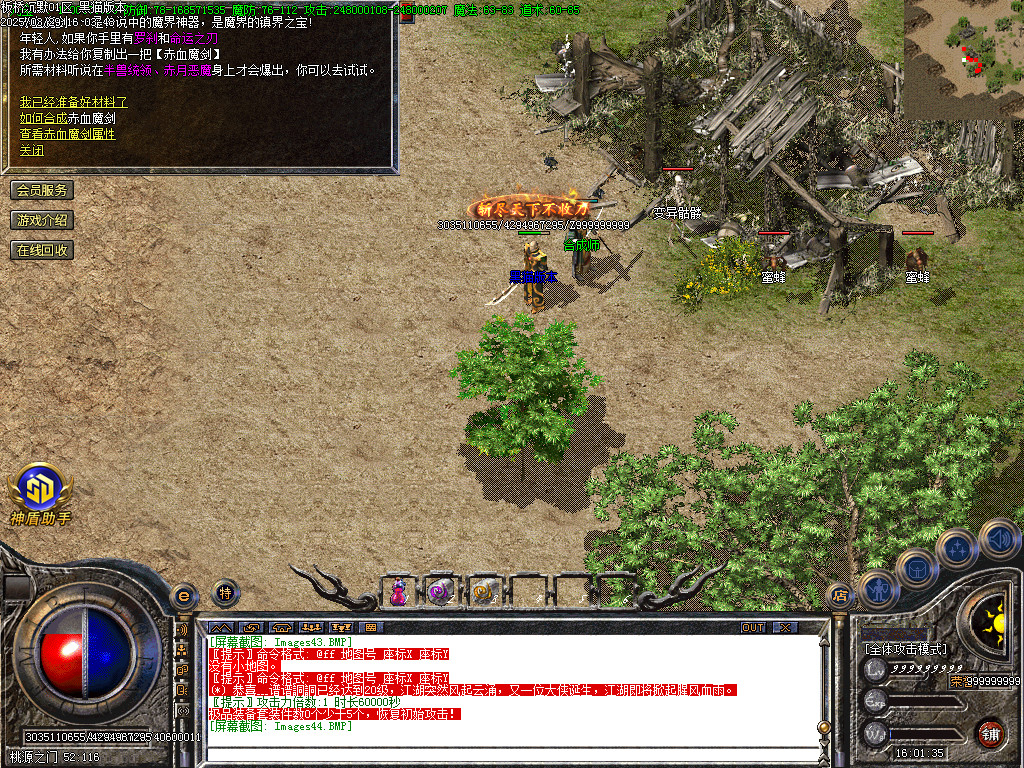 Images45.BMP