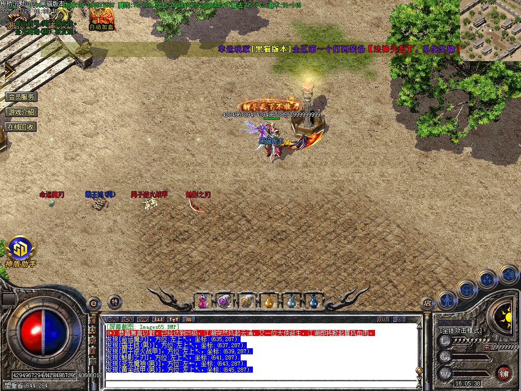 Images66.BMP