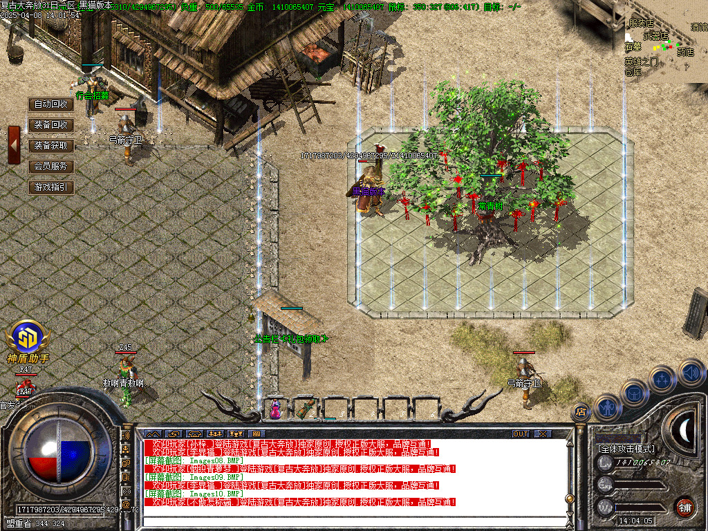 Images11.BMP
