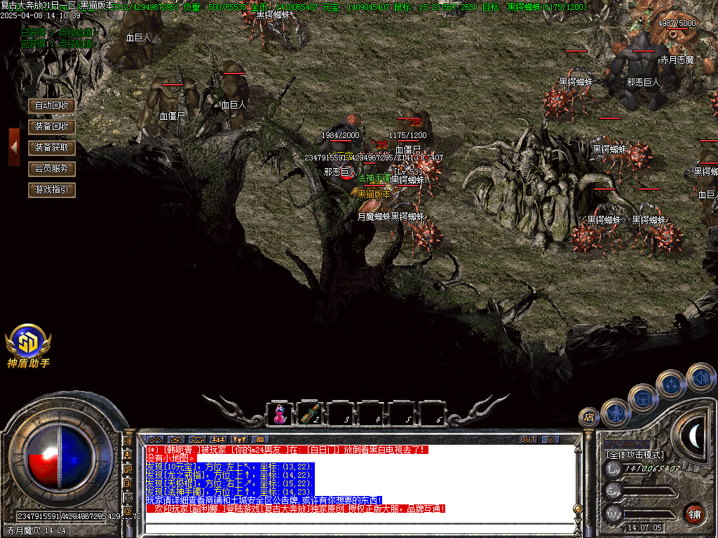 Images37.BMP