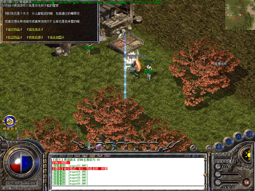 Images13.BMP