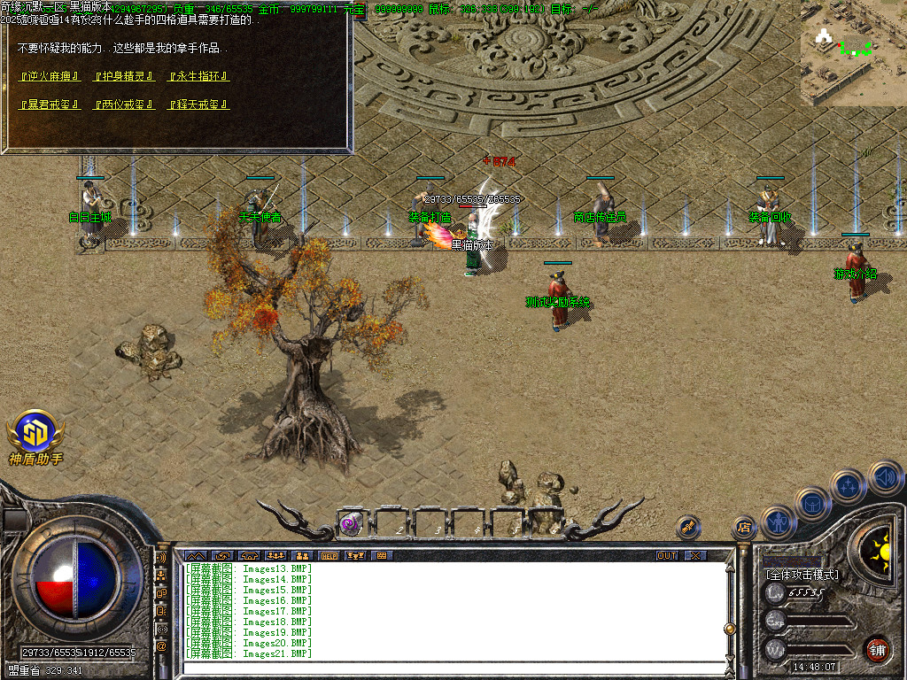Images26.BMP