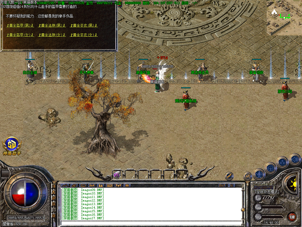 Images22.BMP