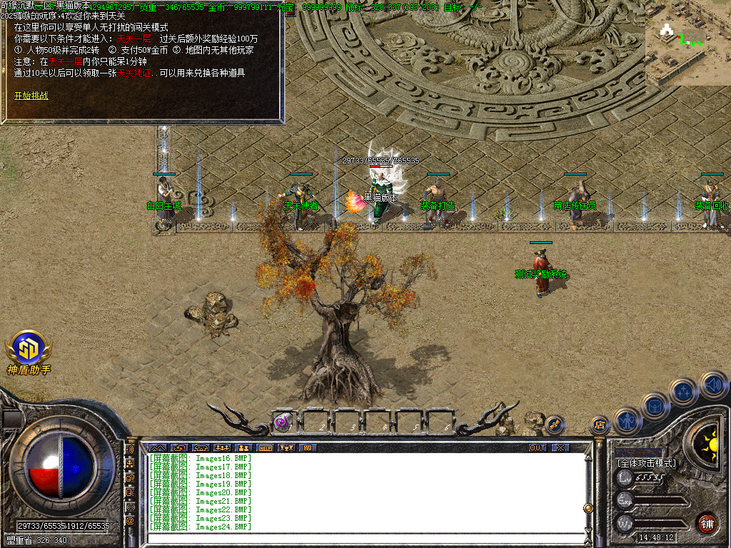 Images29.BMP