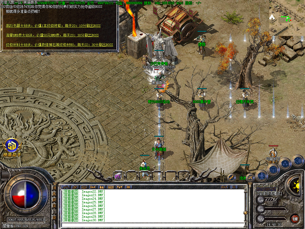 Images35.BMP