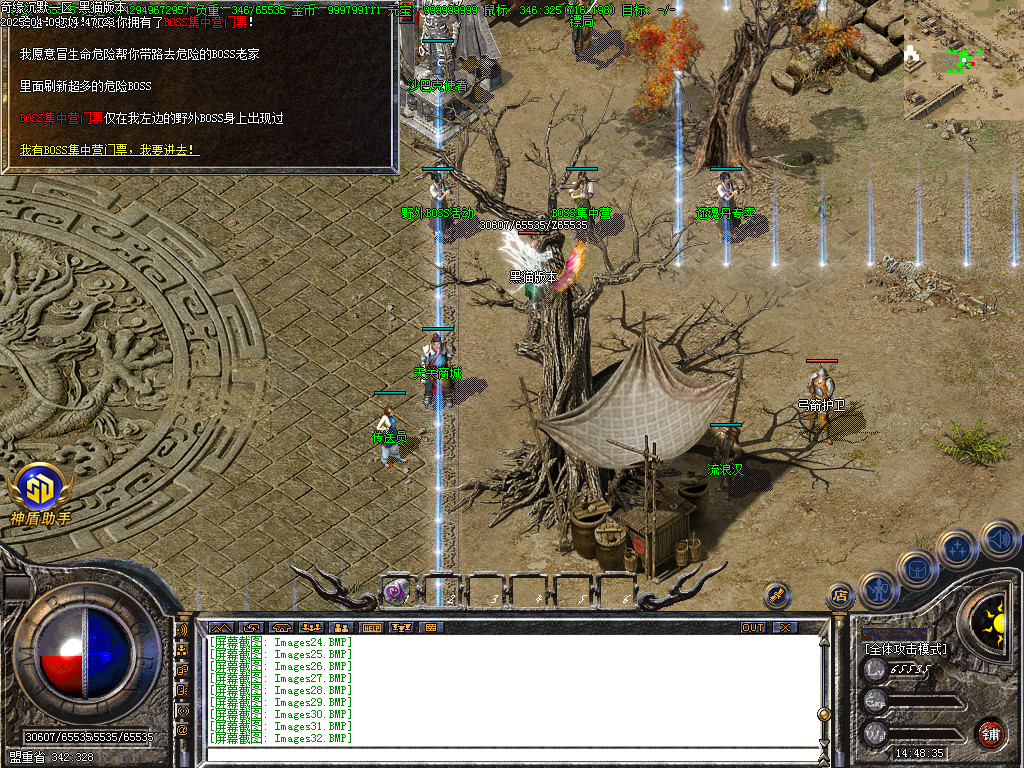 Images37.BMP