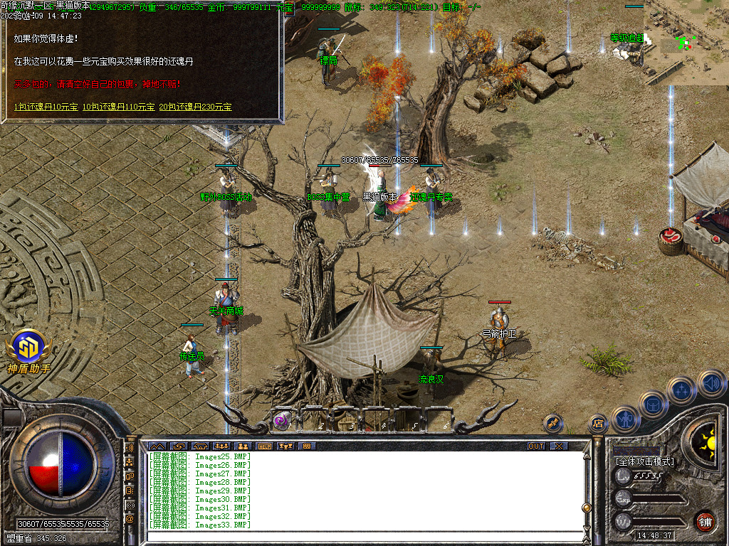 Images38.BMP