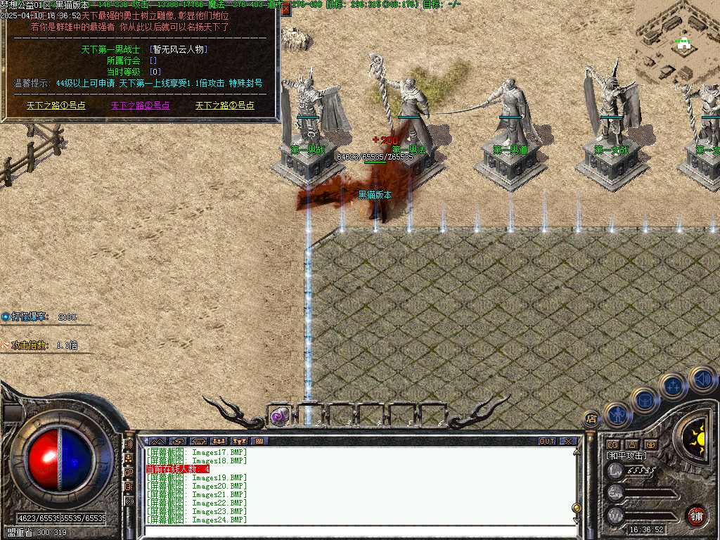 Images25.BMP