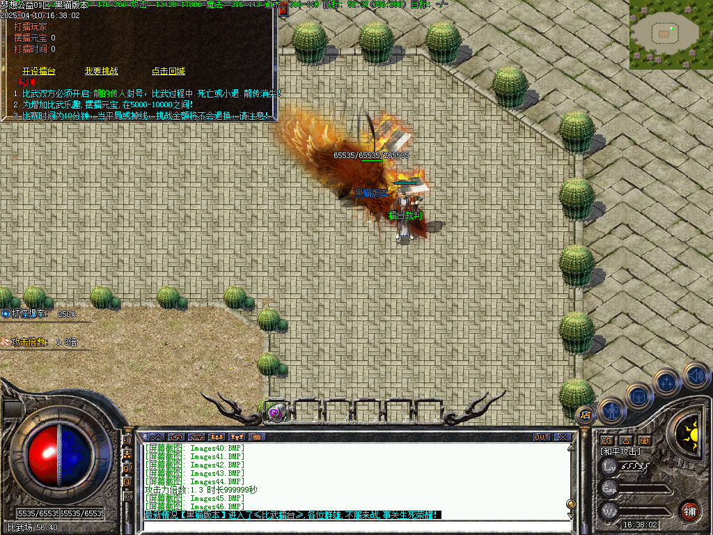 Images47.BMP
