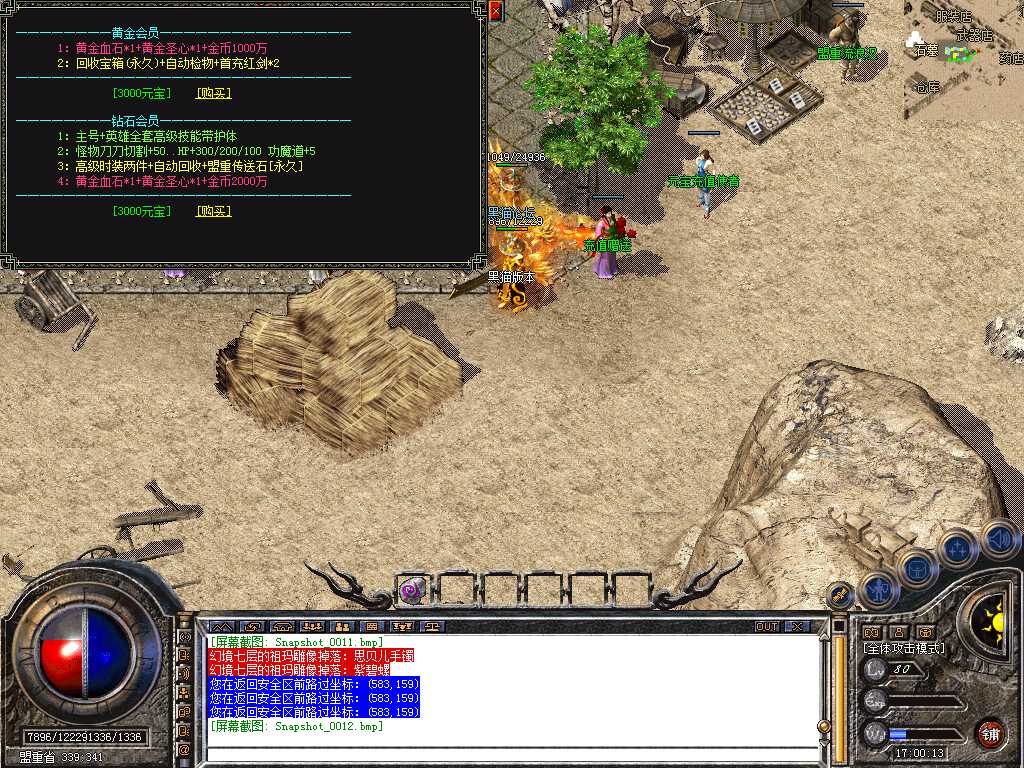 Snapshot_0013.bmp