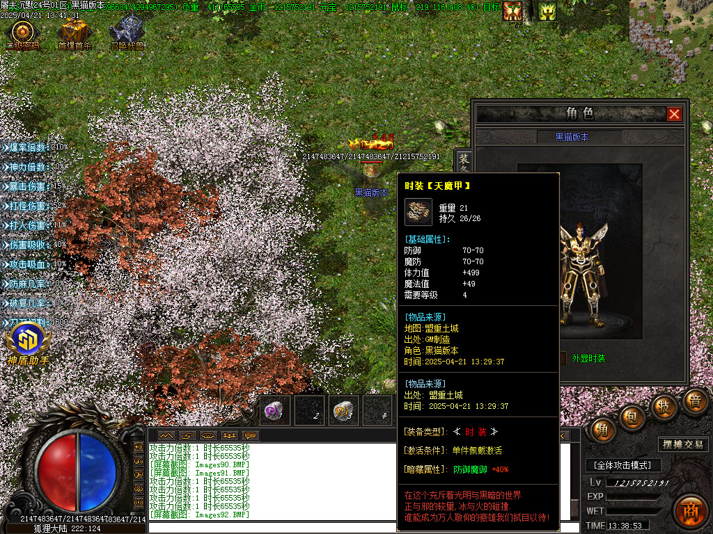Images93.BMP