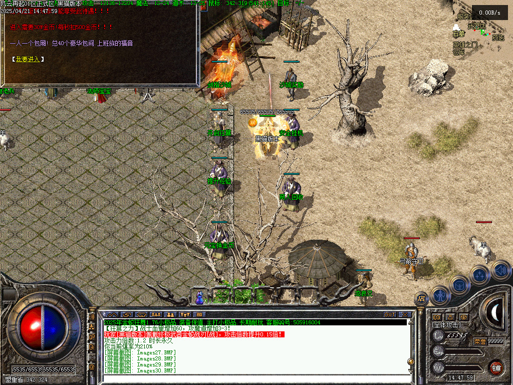 Images31.BMP