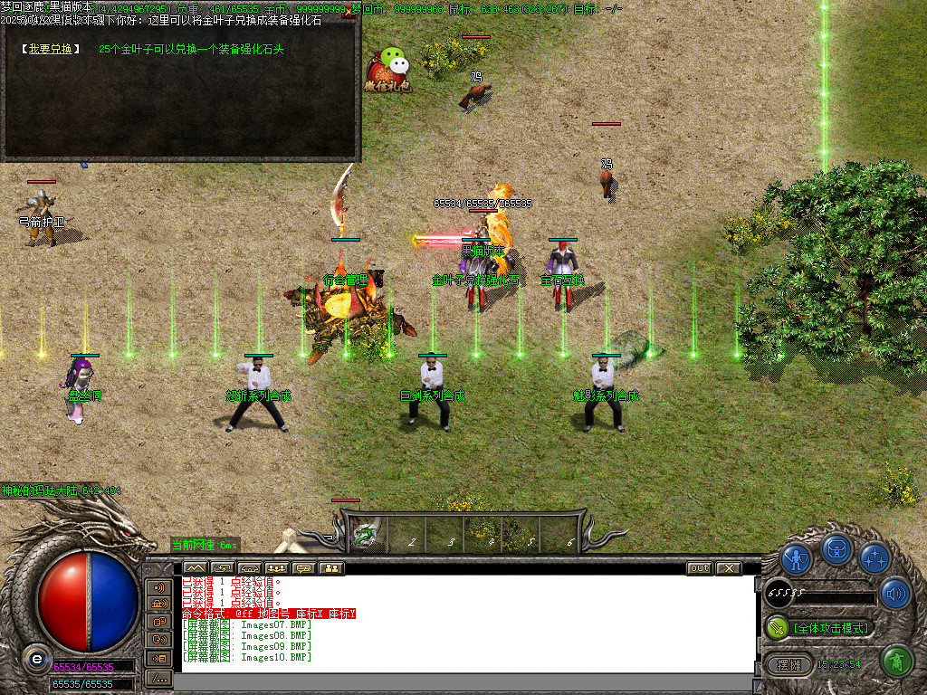 Images11.BMP