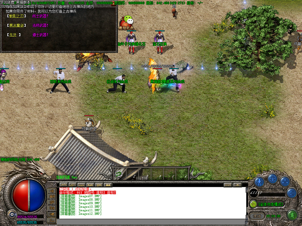 Images13.BMP