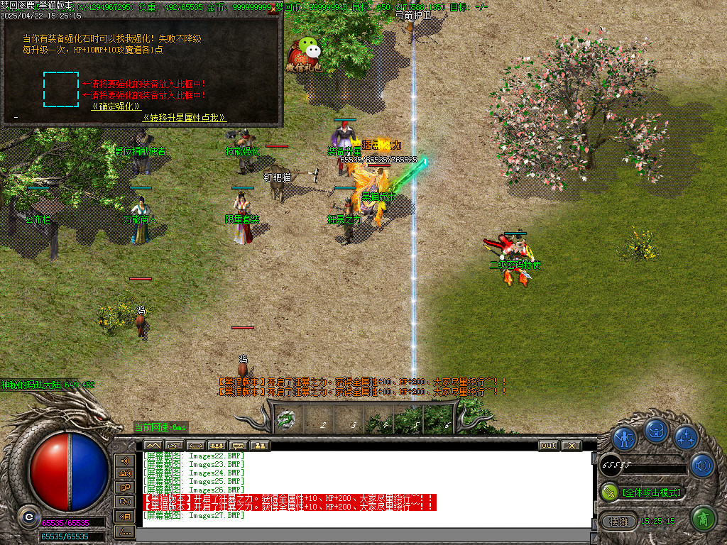 Images28.BMP