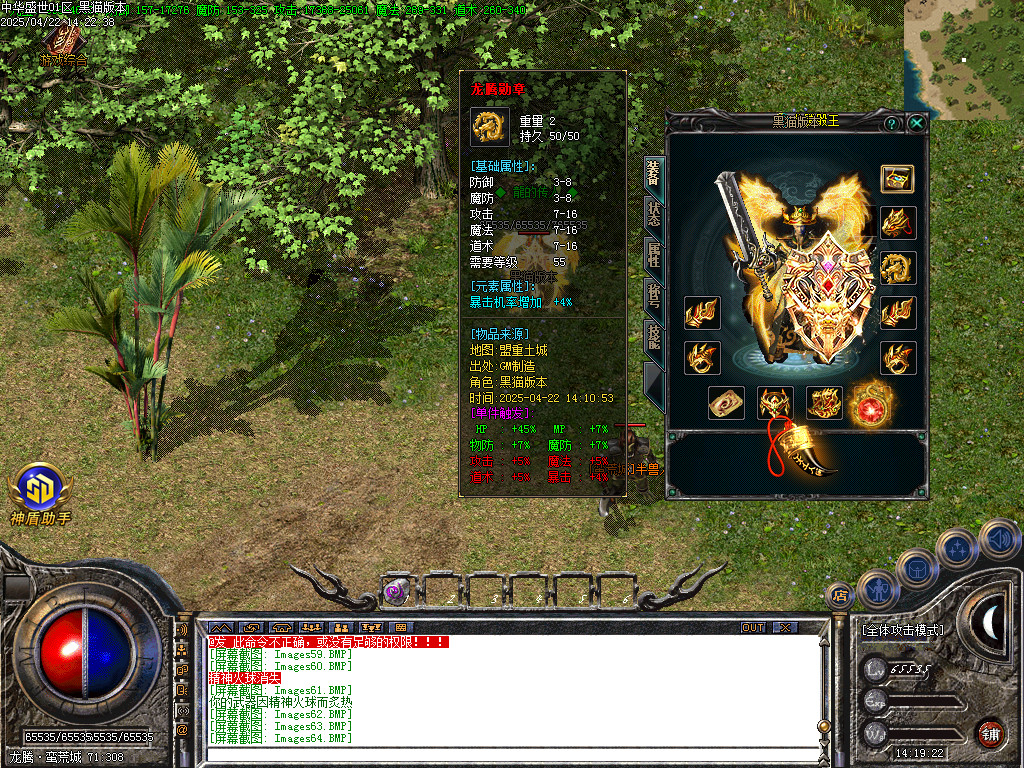 Images65.BMP