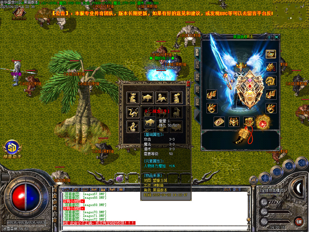 Images73.BMP